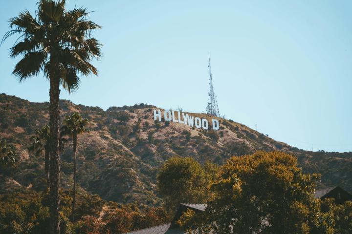 The iconic Hollywood sign on a hill with clear blue sky and palm trees in the foreground.